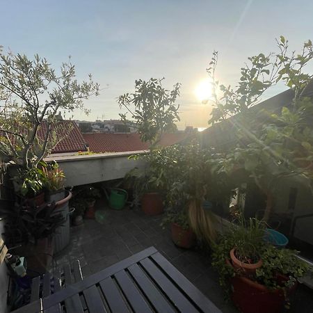 Piccola Accogliente E Luminosa Camera In Appartamento Condiviso Con Terrazza Vista Mare Trieste Esterno foto